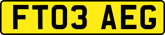 FT03AEG