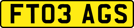 FT03AGS
