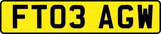 FT03AGW