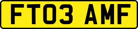 FT03AMF