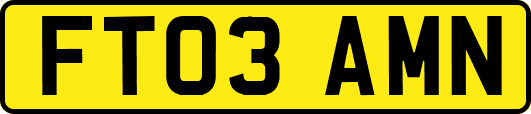 FT03AMN