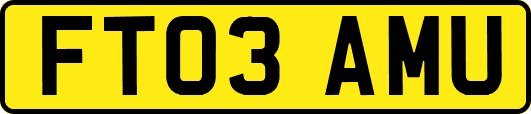 FT03AMU