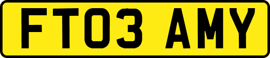 FT03AMY