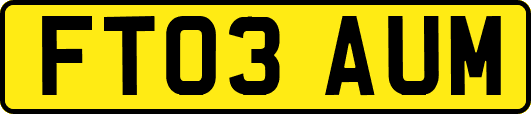 FT03AUM