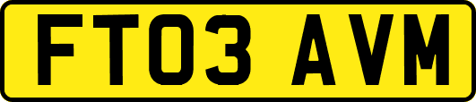 FT03AVM