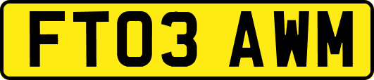 FT03AWM