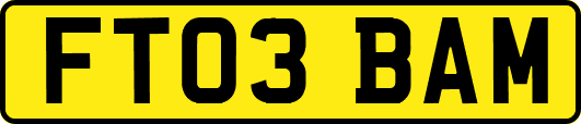 FT03BAM