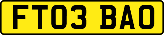 FT03BAO