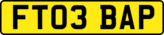 FT03BAP