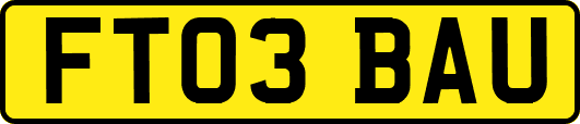 FT03BAU