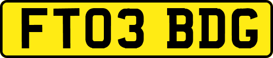 FT03BDG