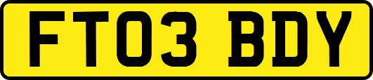 FT03BDY