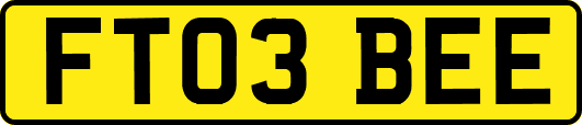 FT03BEE