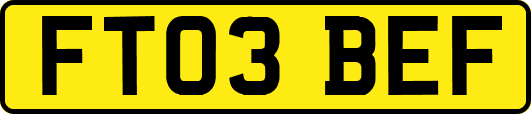 FT03BEF