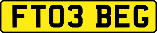 FT03BEG