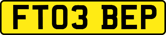 FT03BEP