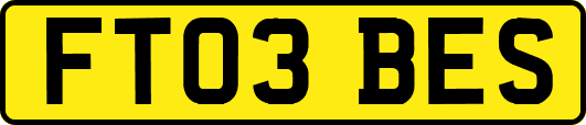 FT03BES