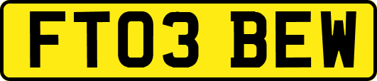 FT03BEW