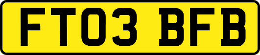 FT03BFB