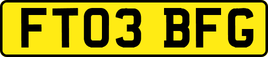 FT03BFG