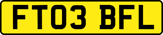 FT03BFL