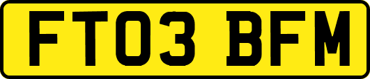 FT03BFM