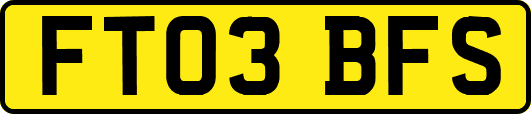 FT03BFS