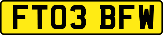 FT03BFW