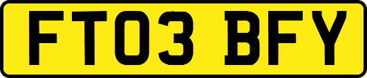 FT03BFY