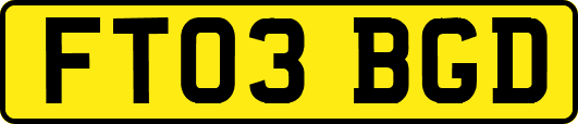 FT03BGD