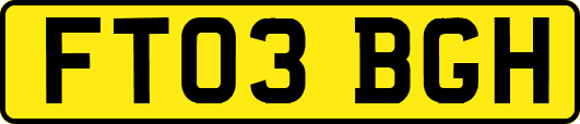 FT03BGH