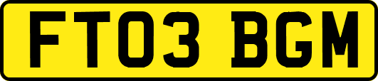 FT03BGM