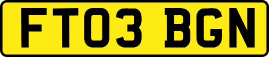 FT03BGN