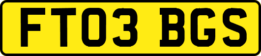 FT03BGS