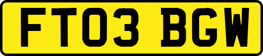 FT03BGW