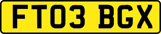 FT03BGX