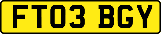 FT03BGY
