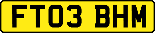 FT03BHM