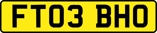 FT03BHO