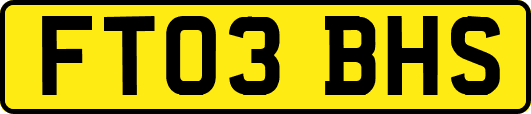FT03BHS