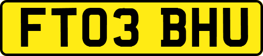 FT03BHU