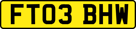FT03BHW