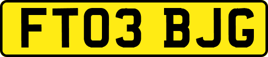 FT03BJG