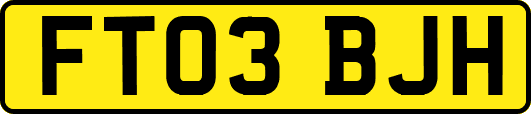 FT03BJH