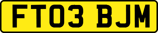 FT03BJM