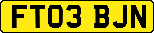 FT03BJN