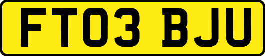 FT03BJU
