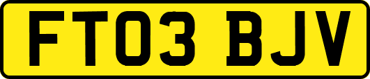 FT03BJV