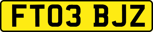 FT03BJZ