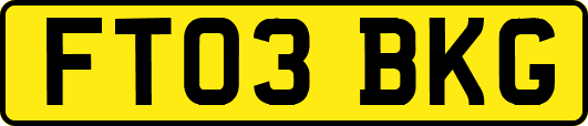 FT03BKG